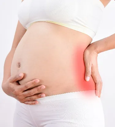 12 CE Hour Prenatal Massage (Computer-Based Live Interactive Webinar)