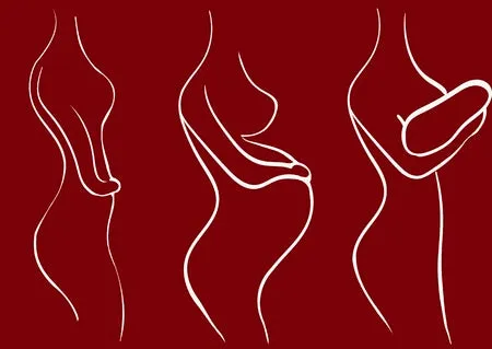 12 CE Hour Prenatal Massage (Computer-Based Live Interactive Webinar)