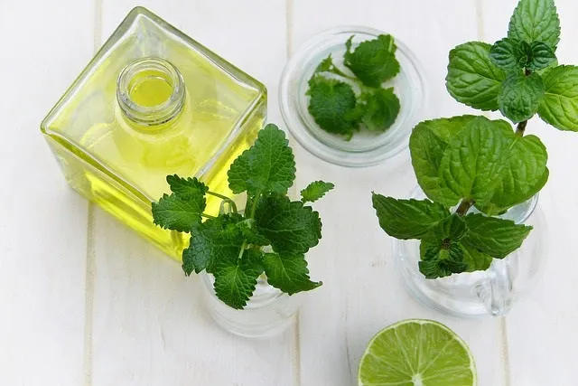 6 CE Hour Aromatherapy Bodywork Basics (Computer-Based Live Interactive Webinar)