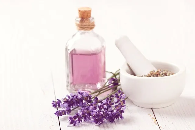 6 CE Hour Aromatherapy Bodywork Basics (Computer-Based Live Interactive Webinar)