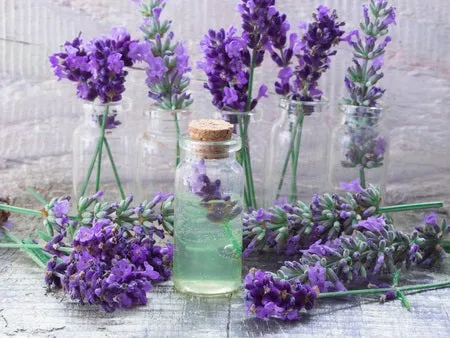 6 CE Hour Aromatherapy Bodywork Basics (Computer-Based Live Interactive Webinar)