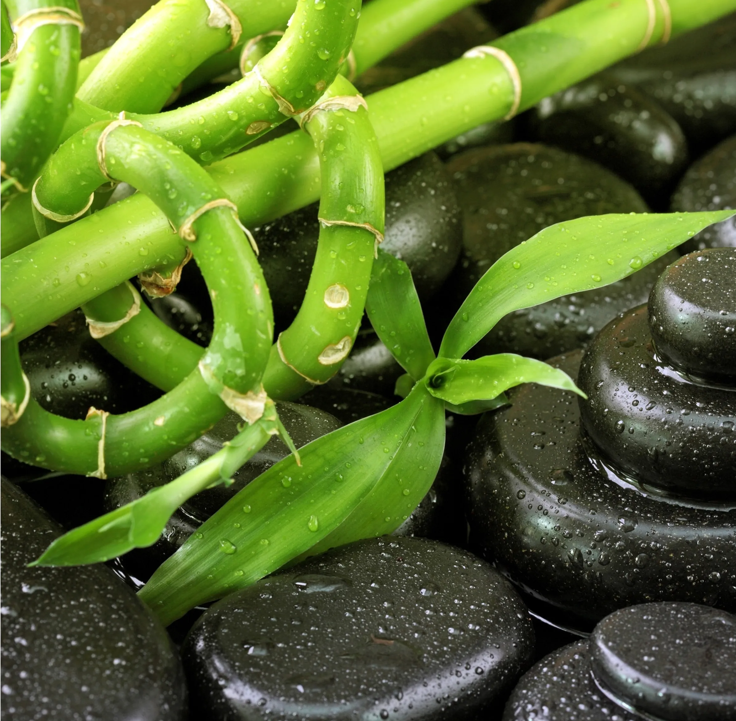6 CE Hour Hot Stone Massage Basics Computer-Based Live Interactive Webinar