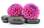 6 CE Hour Hot Stone Massage Basics Computer-Based Live Interactive Webinar