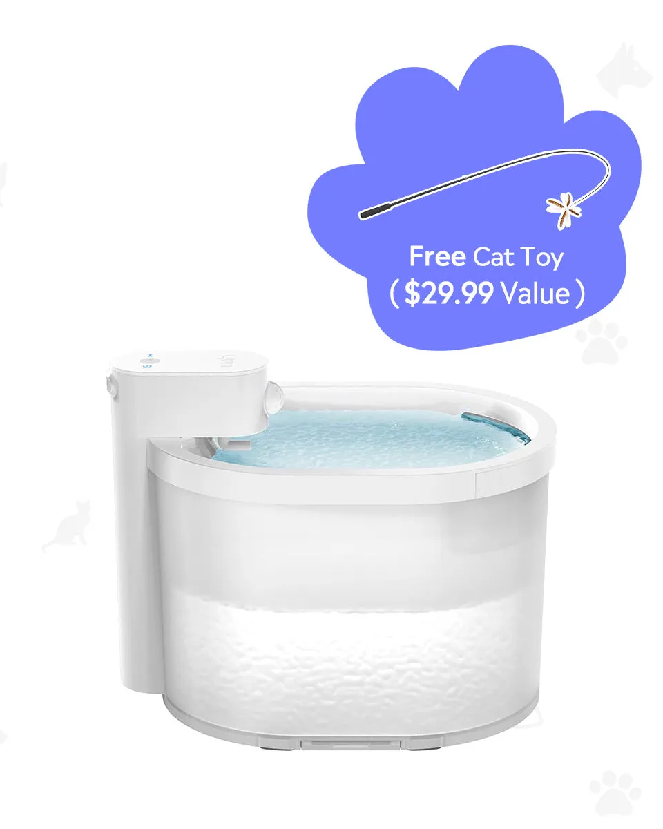 [BOGO] Wireless Cat Water Fountain & Free Cat Wand Toy