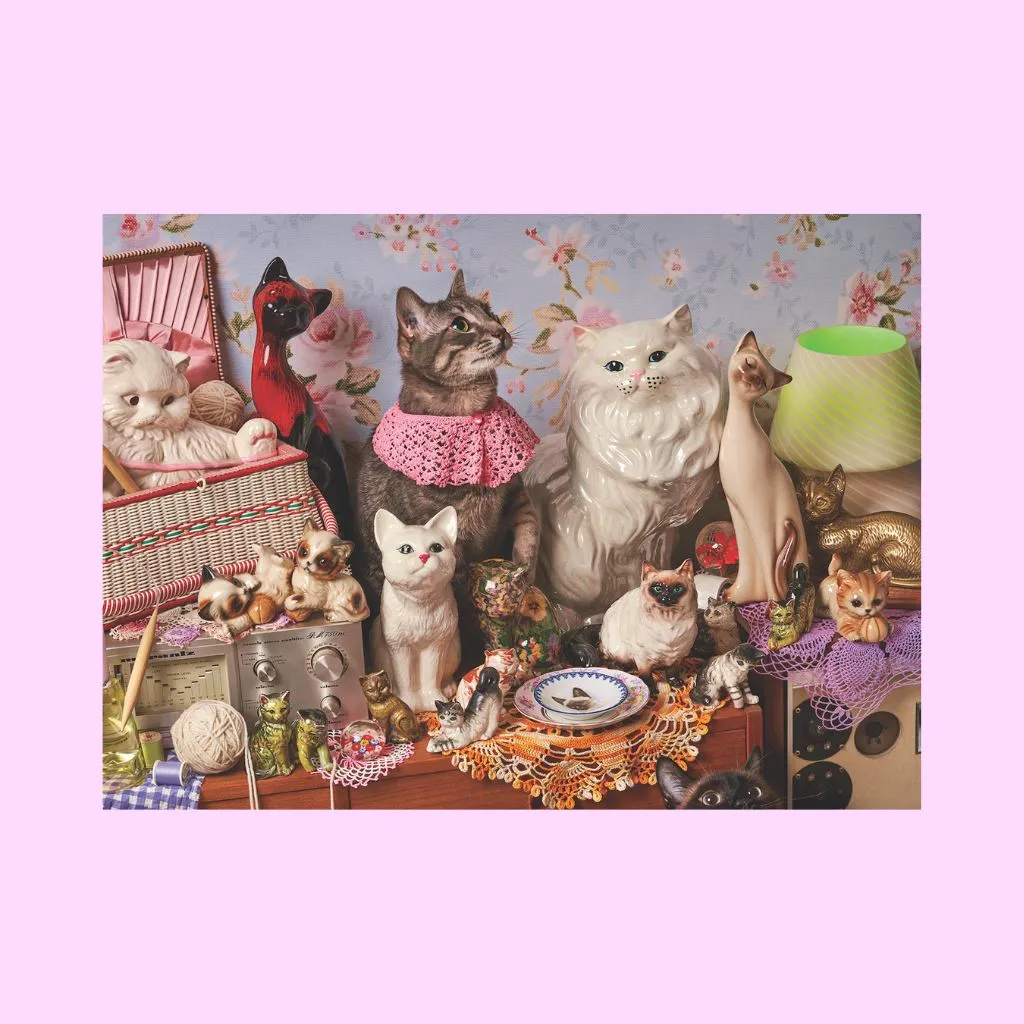 Cat Person puzzle