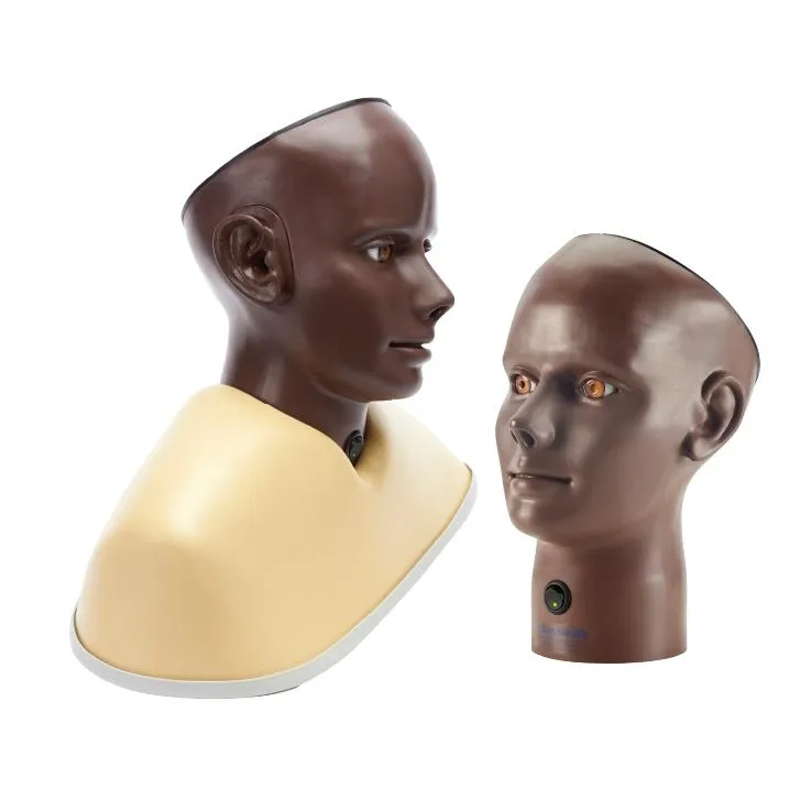 Digital Eye and Ear Examination Trainer Set