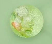 Dinosaur Light Up Glitter Bouncing Ball