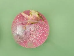 Dinosaur Light Up Glitter Bouncing Ball