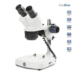 Euromex EduBlue Series Portable Binocular Stereo Microscope on Pillar Stand