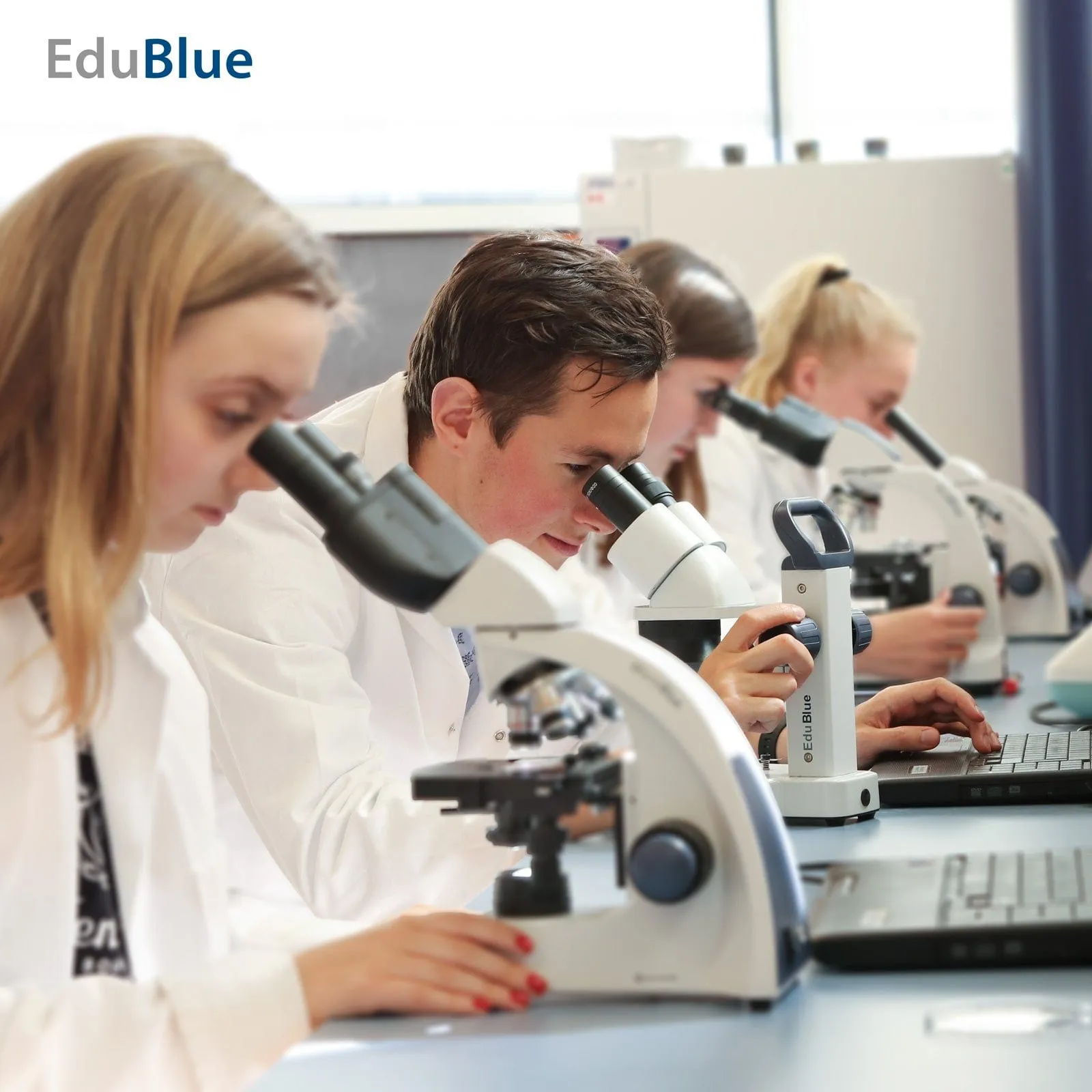 Euromex EduBlue Series Portable Binocular Stereo Microscope on Pillar Stand
