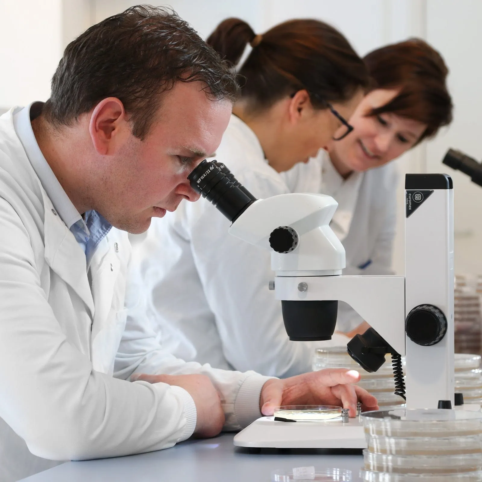 Euromex NexiusZoom Series High-Precision Zoom Binocular Stereo Microscope on Rack and Pinion Track Stand