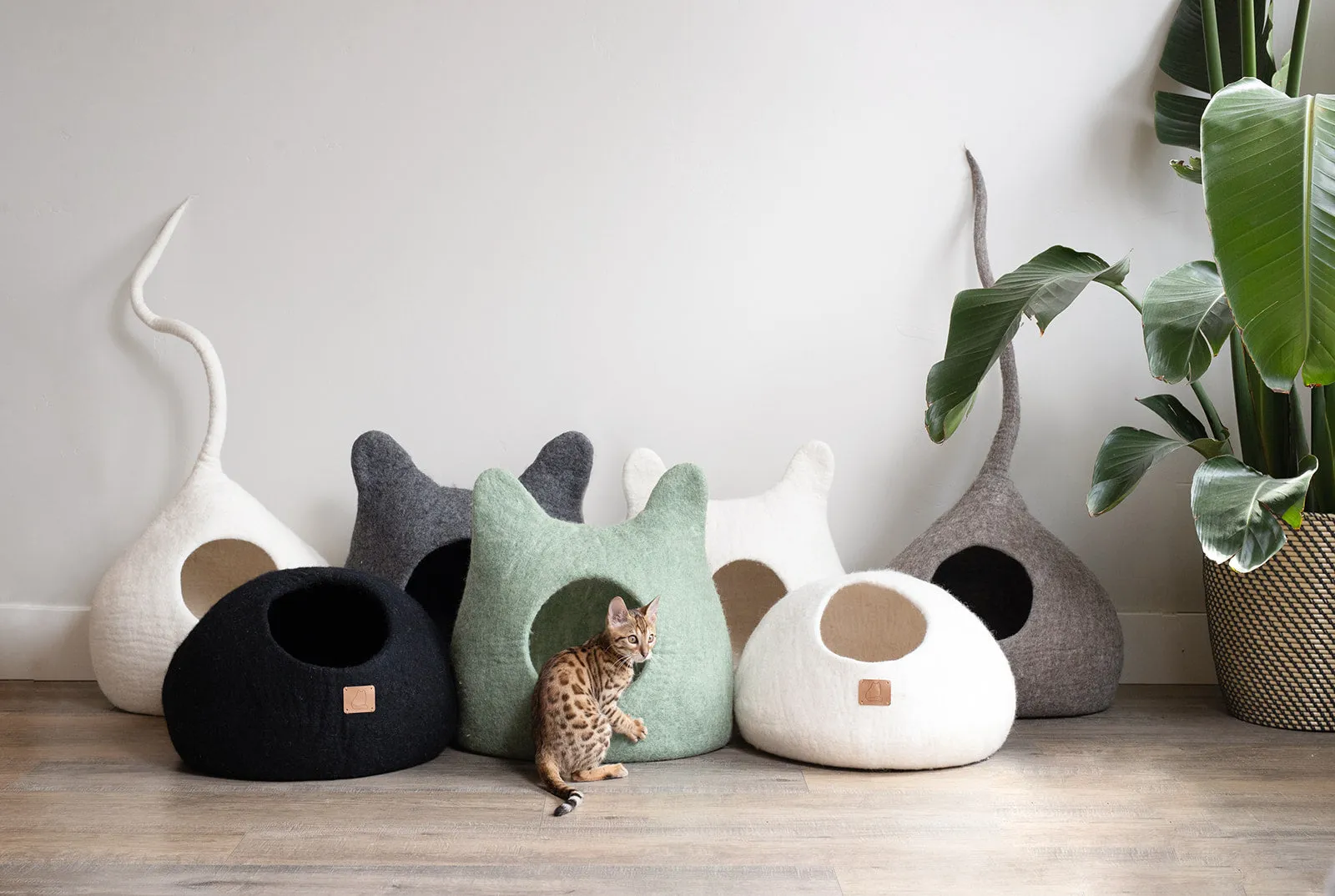 Forest Green | Tail Style Cave