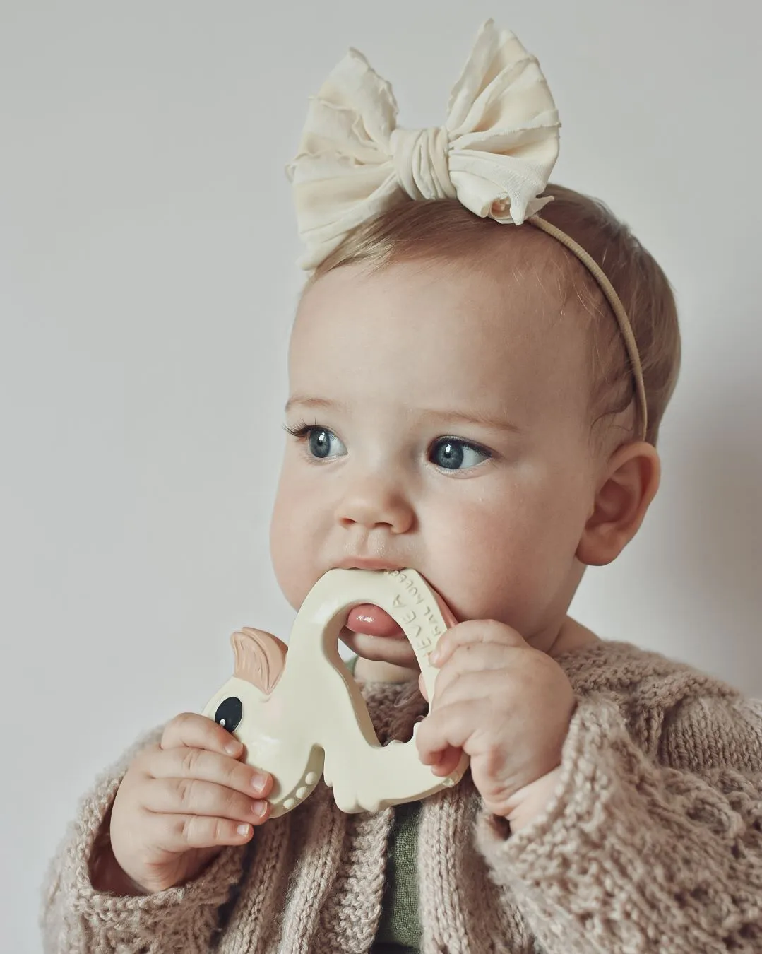 Hevea Kawan the Duck Teether