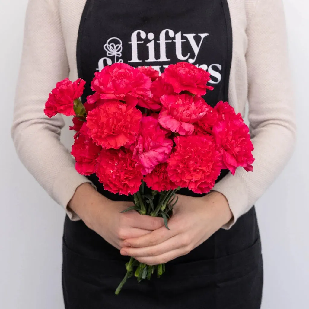 Hot Pink Carnations Valentines Day Special