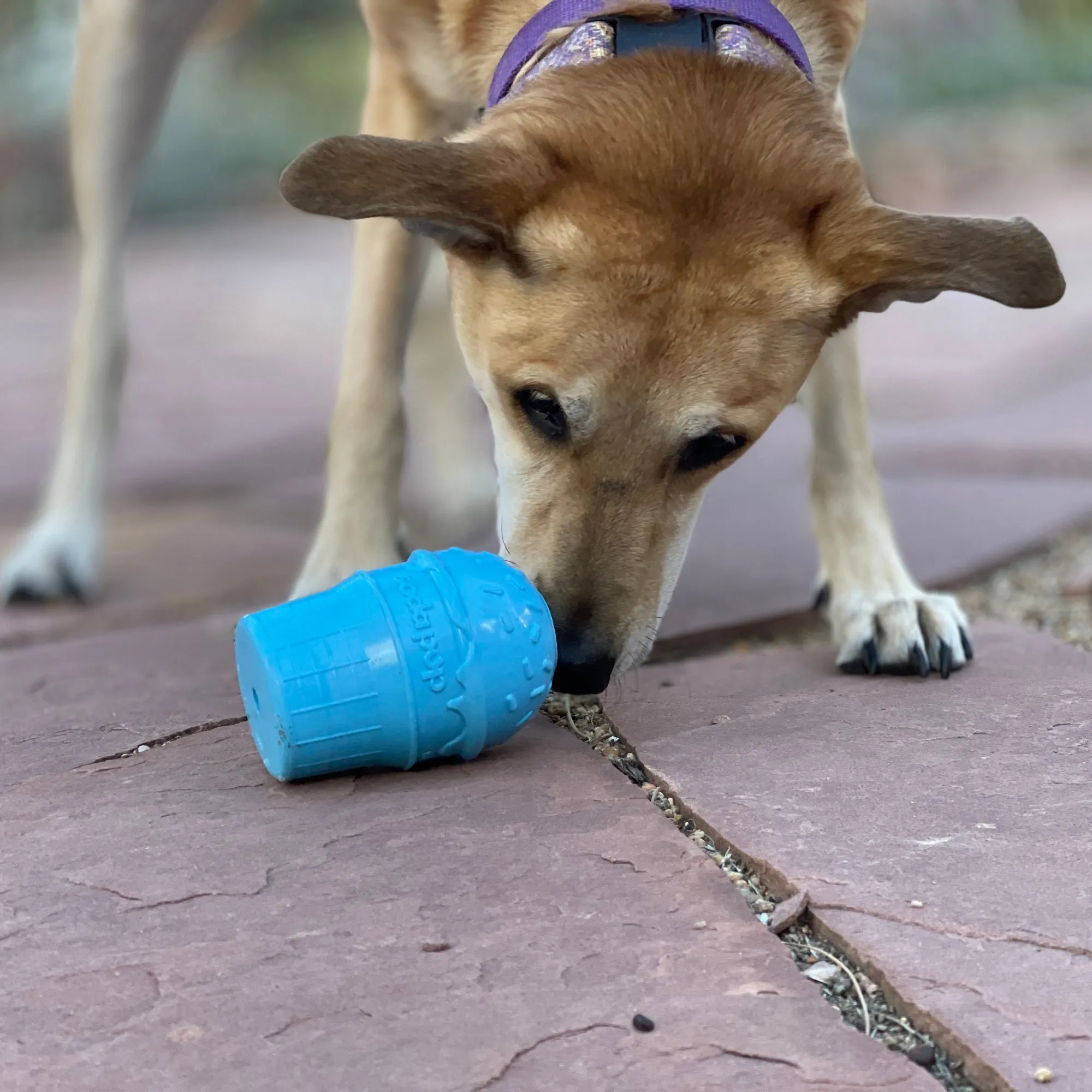 Ice Cream Cone Durable PUP-X Rubber eDispenser Chew Toy and Treat Dispenser