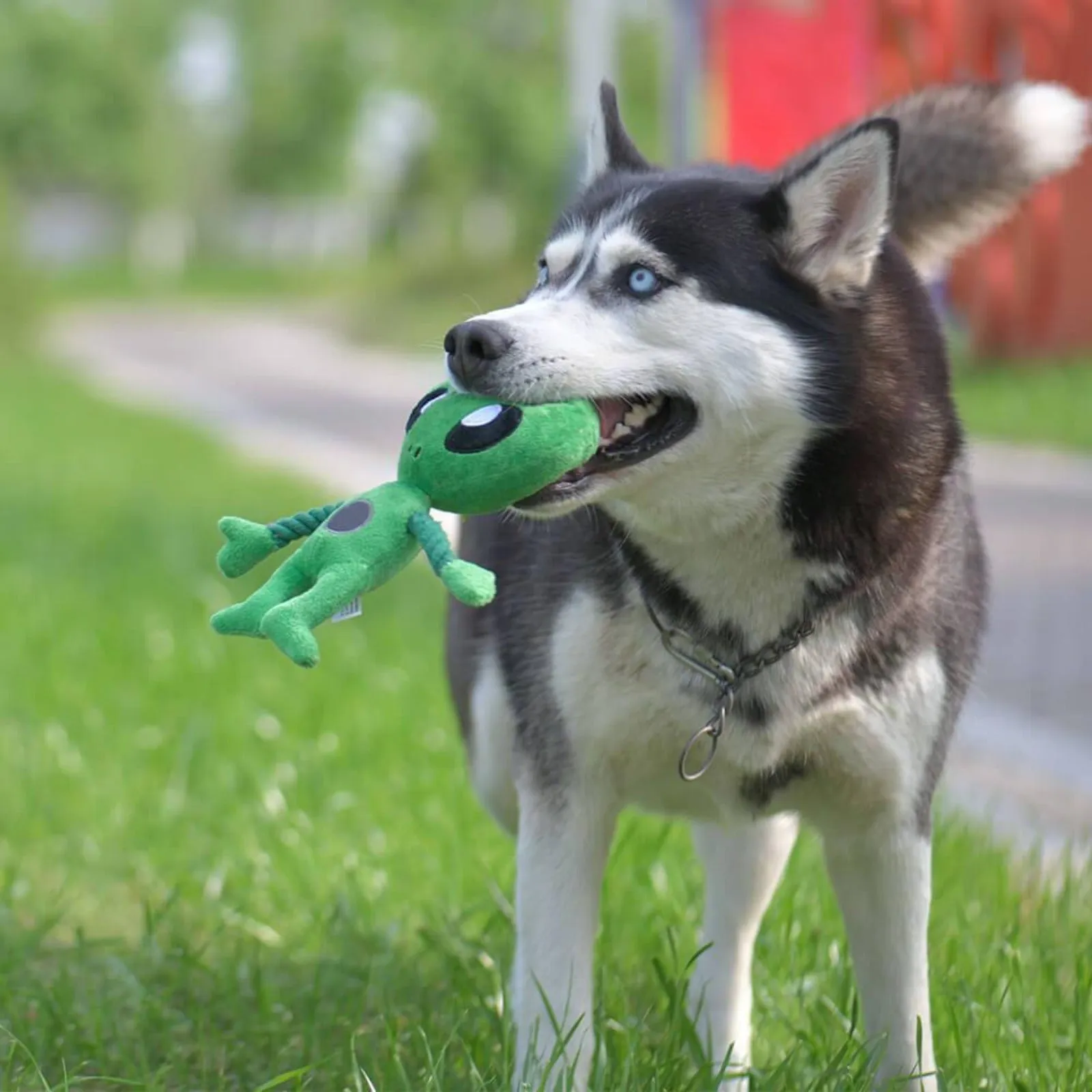 Laifug Squeaky Alien Toy