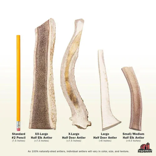 Redbarn Half Deer Antler Treat For Dogs