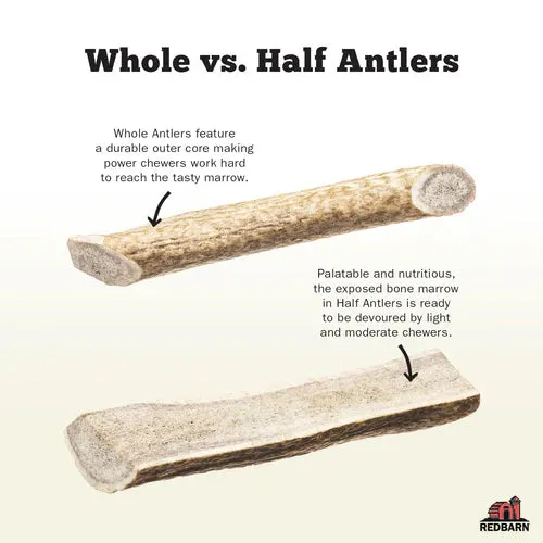 Redbarn Half Deer Antler Treat For Dogs