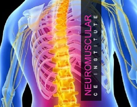 Self-paced Online Home Study 12 CE Trigger Point & Neuromuscular Therapy Basics