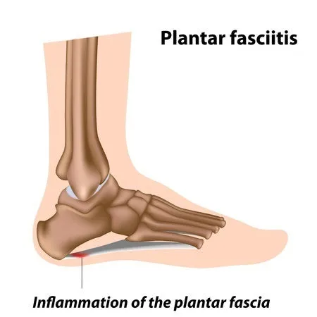 Self-paced Online Home Study 6 CE Hour Advanced Medical Foot Massage