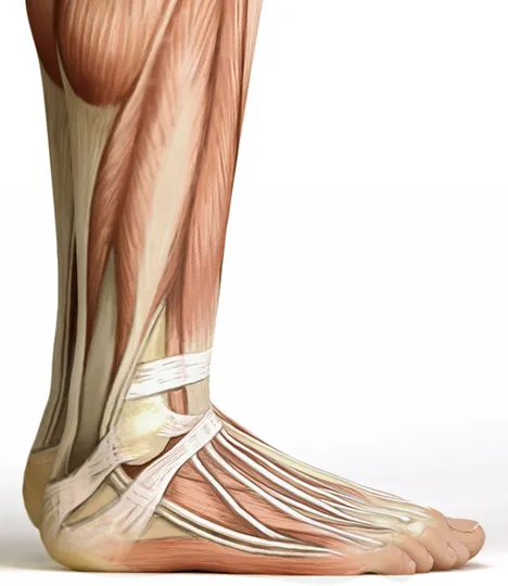 Self-paced Online Home Study 6 CE Hour Advanced Medical Foot Massage