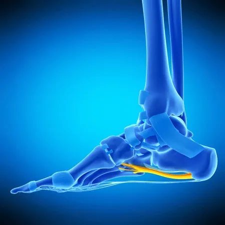 Self-paced Online Home Study 6 CE Hour Advanced Medical Foot Massage