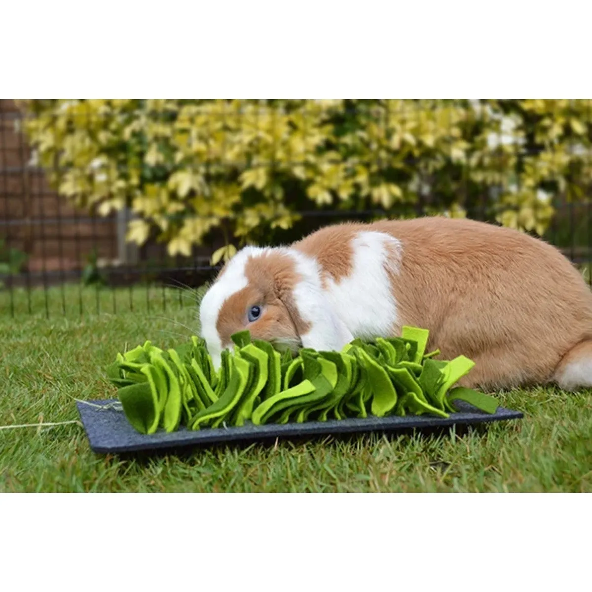 Snuffle Forage Mat