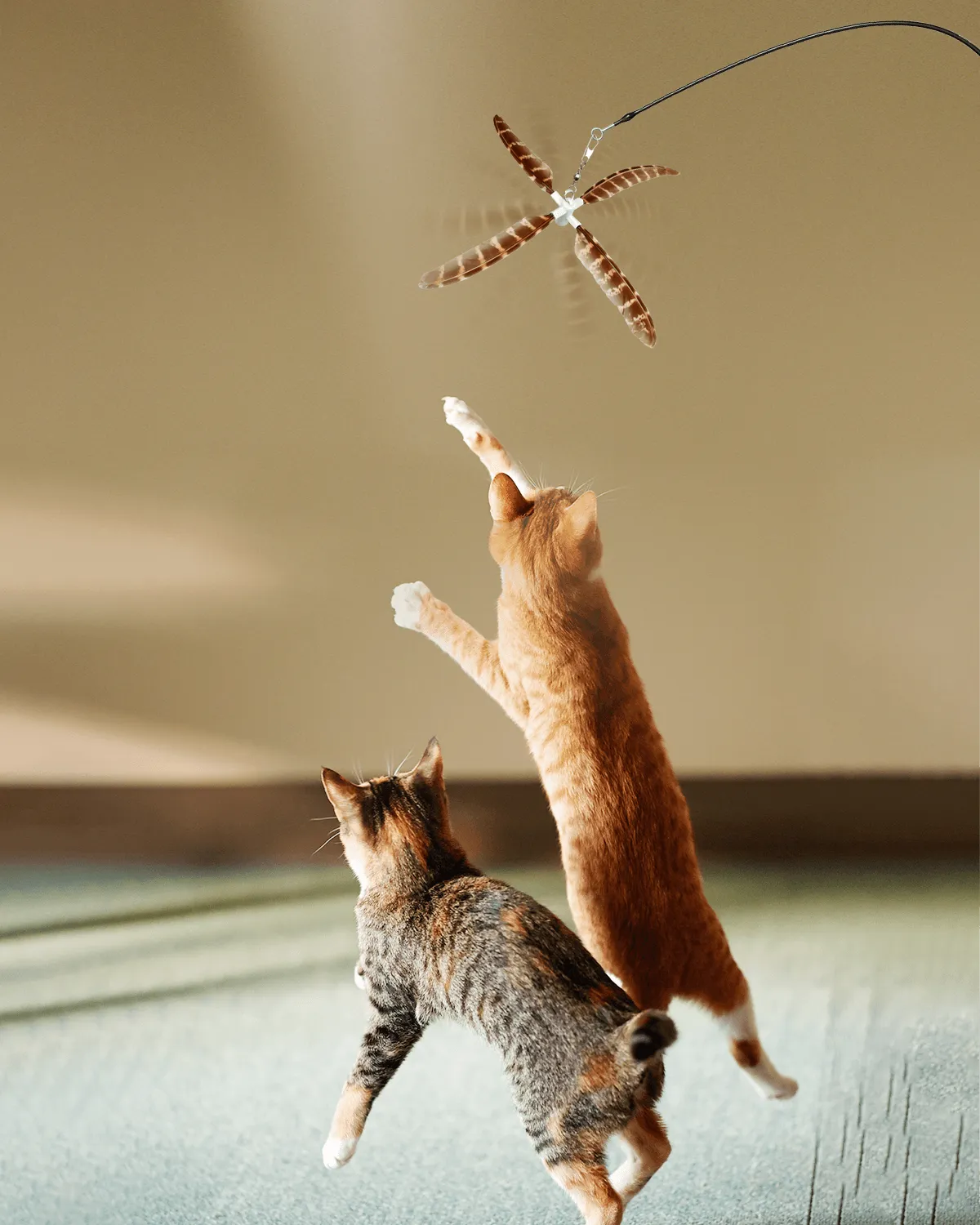 Uah Pet Retractable Cat Wand Toy with 4 Piece Teasers