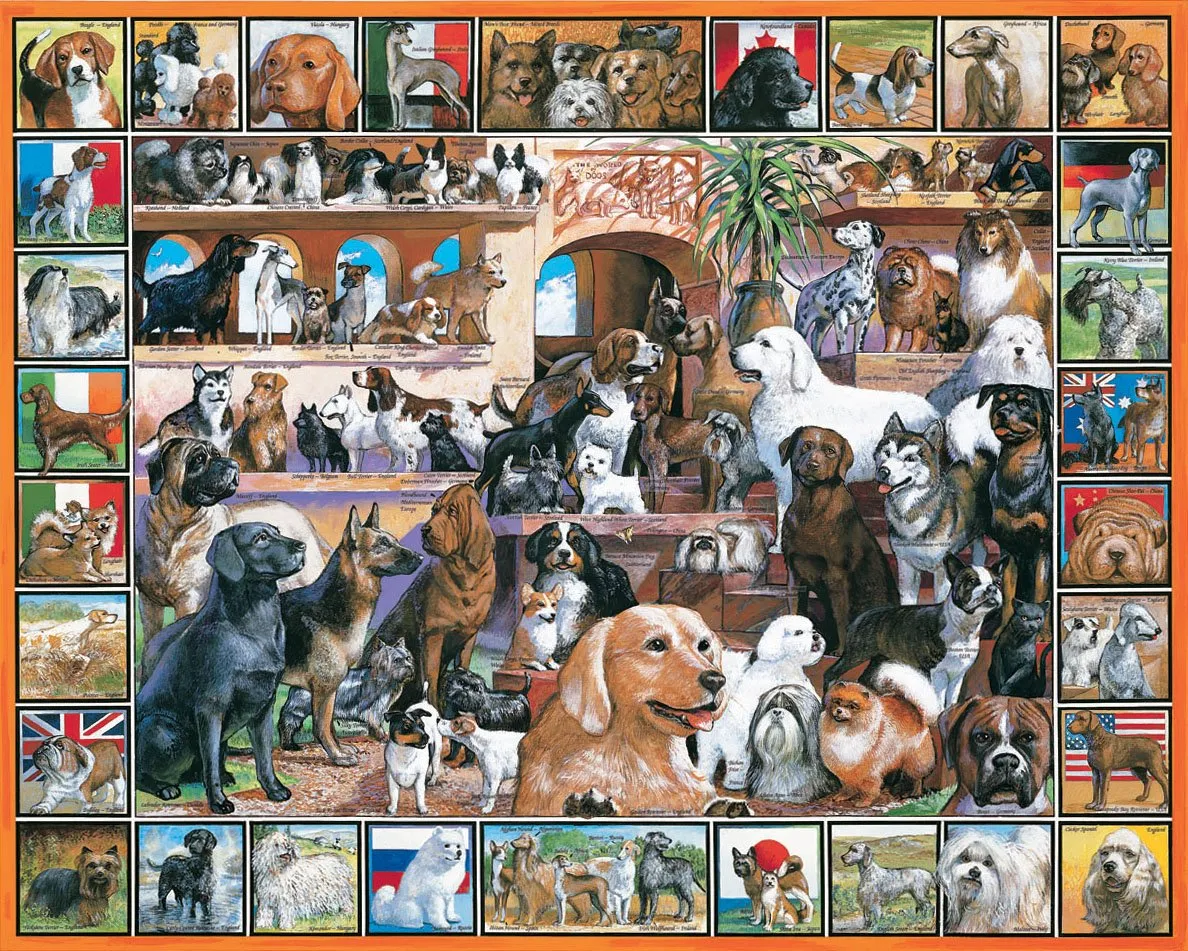 World of Dogs (141pz) - 1000 Piece Jigsaw Puzzle