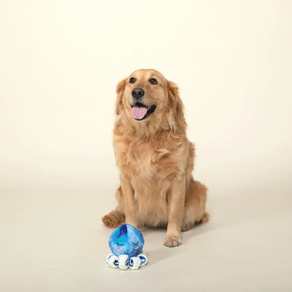 You Octopi My Heart Plush Dog Toy